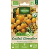 Image de Tomate Cocktail Clémentine - BIO | Vilmorin Jardin