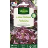 Image de Laitue Picholine | Vilmorin Jardin