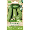 Image de Courgette Greyzini - BIO | Vilmorin Jardin
