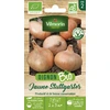 Image de Oignon Stuttgarter - BIO | Vilmorin Jardin