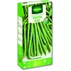 Image de Haricot Blanc de Juillet | Vilmorin Jardin