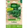 Image de Coriandre Cultivée - BIO - Grand Modèle | Vilmorin Jardin
