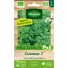 Image de Persil Commun 2 - BIO - Grand Modèle | Vilmorin Jardin