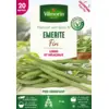 Image de Haricot Emérite - 20 m | Vilmorin Jardin