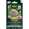 Image de Zinnia Pop Art Rouge et Blanc - Graines d'Exception | Vilmorin Jardin