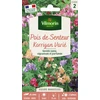 Image de Pois de Senteur Korrigan varié | Vilmorin Jardin