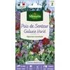 Image de Pois de Senteur Galaxie Varié | Vilmorin Jardin
