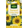 Image de Tournesol Golden Hedge | Vilmorin Jardin