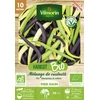 Image de Haricot Nain en Mélange de Couleurs - 10 m - BIO | Vilmorin Jardin
