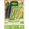 Image de Haricot Grimpant en Mélange de Couleurs - 10 m - BIO | Vilmorin Jardin
