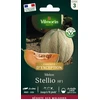 Image de Melon Stellio HF1 - Graines d'Exception | Vilmorin Jardin