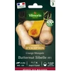 Image de Courge Musquée Butternut Sibelle - Graines d'Exception | Vilmorin Jardin