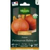 Image de Potiron Potimarron - Graines d'Exception | Vilmorin Jardin