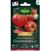 Image de Tomate Gourmandia HF1 - Graines d'Exception | Vilmorin Jardin