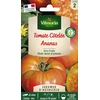 Image de Tomate Ananas - Légumes d'Autrefois | Vilmorin Jardin