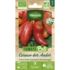 Image de Tomate Cornue des Andes - BIO | Vilmorin Jardin