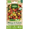 Image de Tomate Cerise en mélange - BIO | Vilmorin Jardin