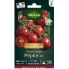 Image de Tomate Pépite F1 - Graines d'Exception | Vilmorin Jardin