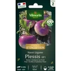 Image de Navet-légume Plessis F1 - Graines d'Exception | Vilmorin Jardin