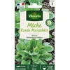 Image de Mâche Ronde Maraîchère | Vilmorin Jardin