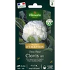 Image de Chou-fleur Clovis F1 - Graines d'Exception | Vilmorin Jardin
