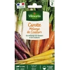 Image de Carotte Mélange de couleurs | Vilmorin Jardin