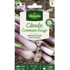 Image de Ciboule Commune Rouge | Vilmorin Jardin