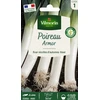 Image de Poireau Armor | Vilmorin Jardin
