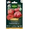 Image de Tomate Lanterna F1 - Graines d'Exception | Vilmorin Jardin