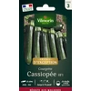 Image de Courgette Cassiopée HF1 - Graines d'Exception | Vilmorin Jardin