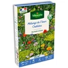 Image de Fleurs Oubliées - 25 m² - Mélange de fleurs | Vilmorin Jardin