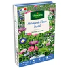 Image de Mélange Pastel - 25 m² - Mélange de fleurs | Vilmorin Jardin