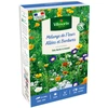Image de Allées et Bordures - 50 m² - Mélange de fleurs | Vilmorin Jardin