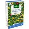 Image de Fleurs Terrain Sec - 50 m² - Mélange de fleurs | Vilmorin Jardin