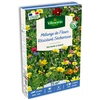 Image de Fleurs Résistantes Sécheresse - 25 m² - Mélange de fleurs | Vilmorin Jardin