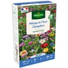 Image de Fleurs Champêtres - 50 m² - Mélange de fleurs | Vilmorin Jardin