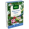 Image de Fleurs Parfumées - 7 m² - Mélange de fleurs | Vilmorin Jardin