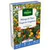 Image de Eloigne les Doryphores - 7 m² - Mélange de fleurs | Vilmorin Jardin