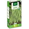 Image de Haricot nain vert sans fil Majestik | Vilmorin Jardin