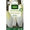 Image de Chicorée Witloof (endive) Blanche Normale | Vilmorin Jardin