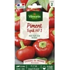 Image de Piment Topik HF1 - Cuisine du Monde | Vilmorin Jardin