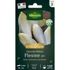 Image de Chicorée Witloof (endive) Flexine HF1 | Vilmorin Jardin
