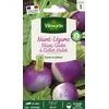 Image de Navet-Légume Blanc Globe à collet violet | Vilmorin Jardin