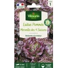 Image de Laitue Pommée Merveille des 4 Saisons | Vilmorin Jardin