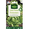 Image de Laitue Pommée Kinemontepas | Vilmorin Jardin