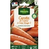 Image de Carotte de Colmar | Vilmorin Jardin