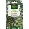 Image de Choux de Bruxelles Groninger | Vilmorin Jardin