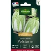 Image de Chou Chinois Polstar HF1 - Graines d'Exception | Vilmorin Jardin
