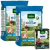 Image de Gazon Ultra Résistant - Label Rouge - 10 kg (x2) + Gazon Ombre - 250 g Offert | Vilmorin Jardin