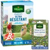 Image de Gazon Ultra Résistant - Label Rouge - 1 kg + Gazon Japonais - 4 m² - Mélange de fleurs | Vilmorin Jardin